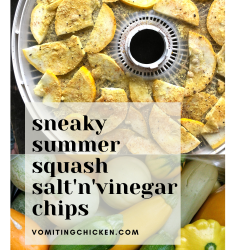 Sneaky Summer Squash SaltnVinegar Chips recipe