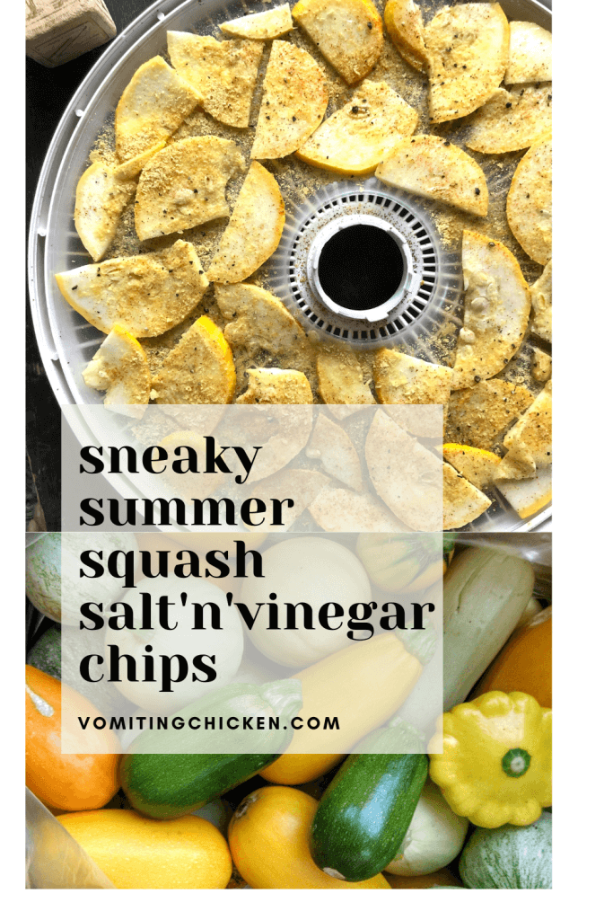 graphic of squash chips with "sneaky summer squash salt'n'vinegar chips on top