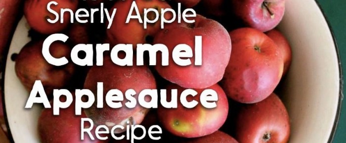 Roasted End-of-Season Snerly Apple Caramel Applesauce Recipe