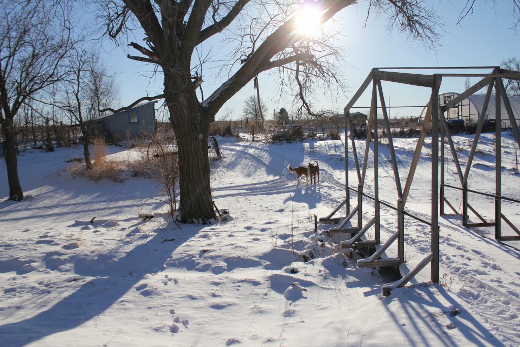 farm snowscene in Nebraska