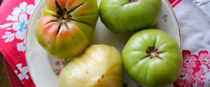 Fried Green Tomatoes: a healthy, cleaned-up recipe!