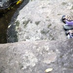 Another tramp, another story: climbing up Wairere Falls