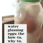 Water glassing eggs: how-to, why-to, when-to