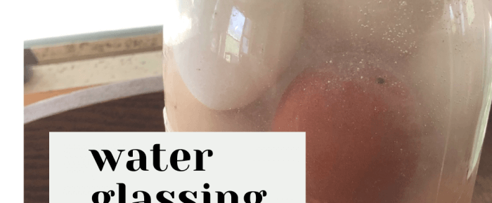 Water glassing eggs: how-to, why-to, when-to