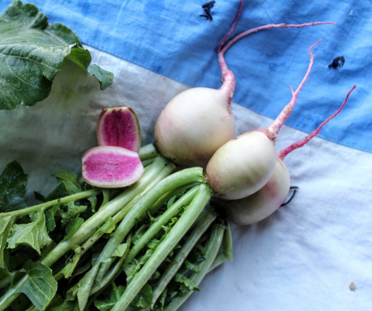 Best Way to Store Turnips & other Roots & THE Tastiest Roasted Roots Recipe!