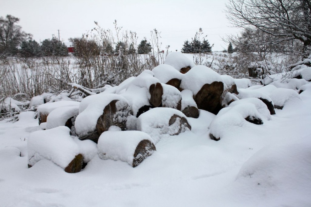 woodpile